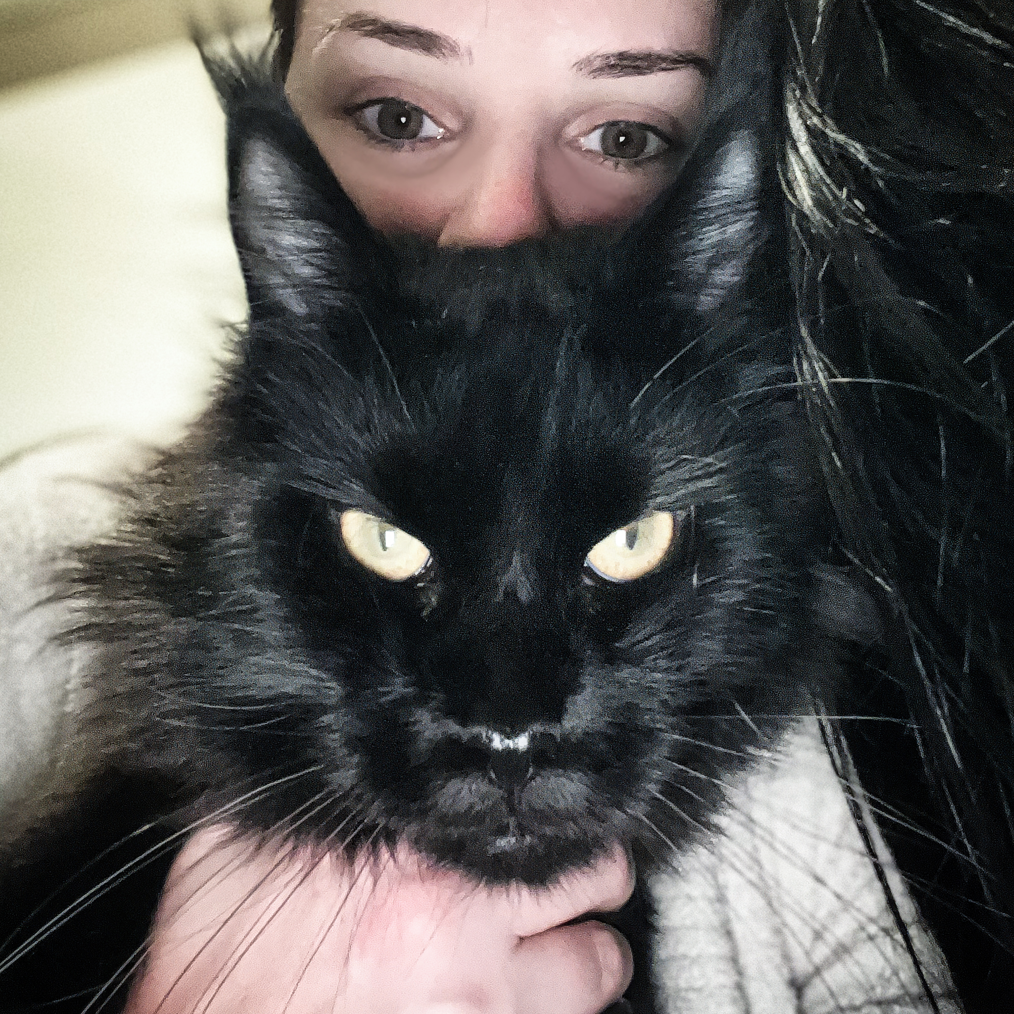 Find Your Forever Companion
