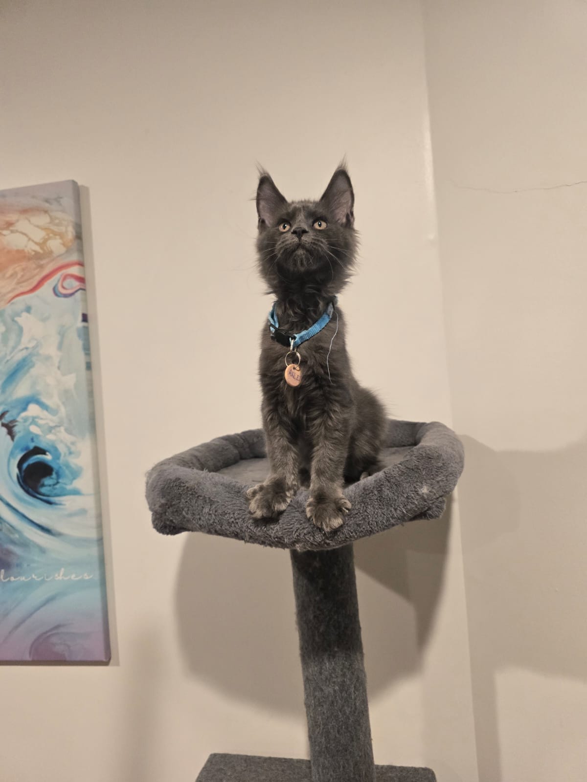 0a682c0b d210 4076 a2c2 f8f1be9b3bb6