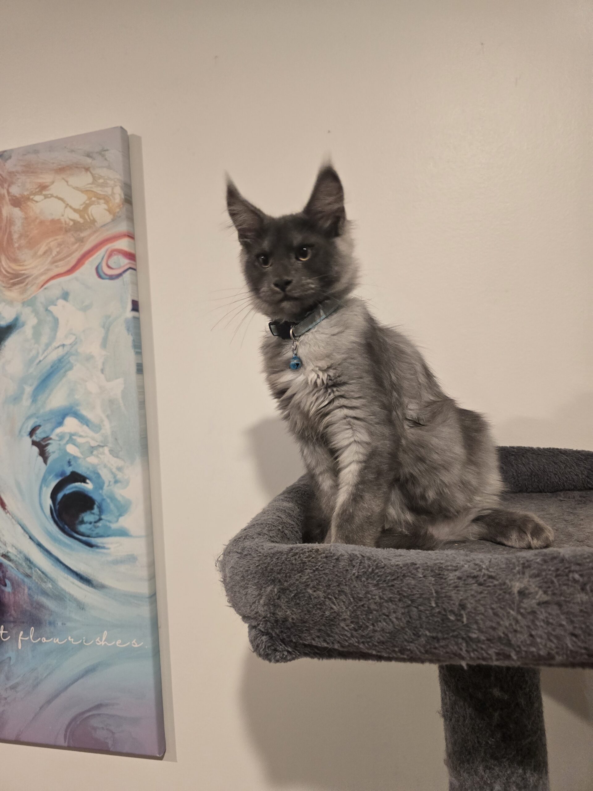 20250826 192140 scaled