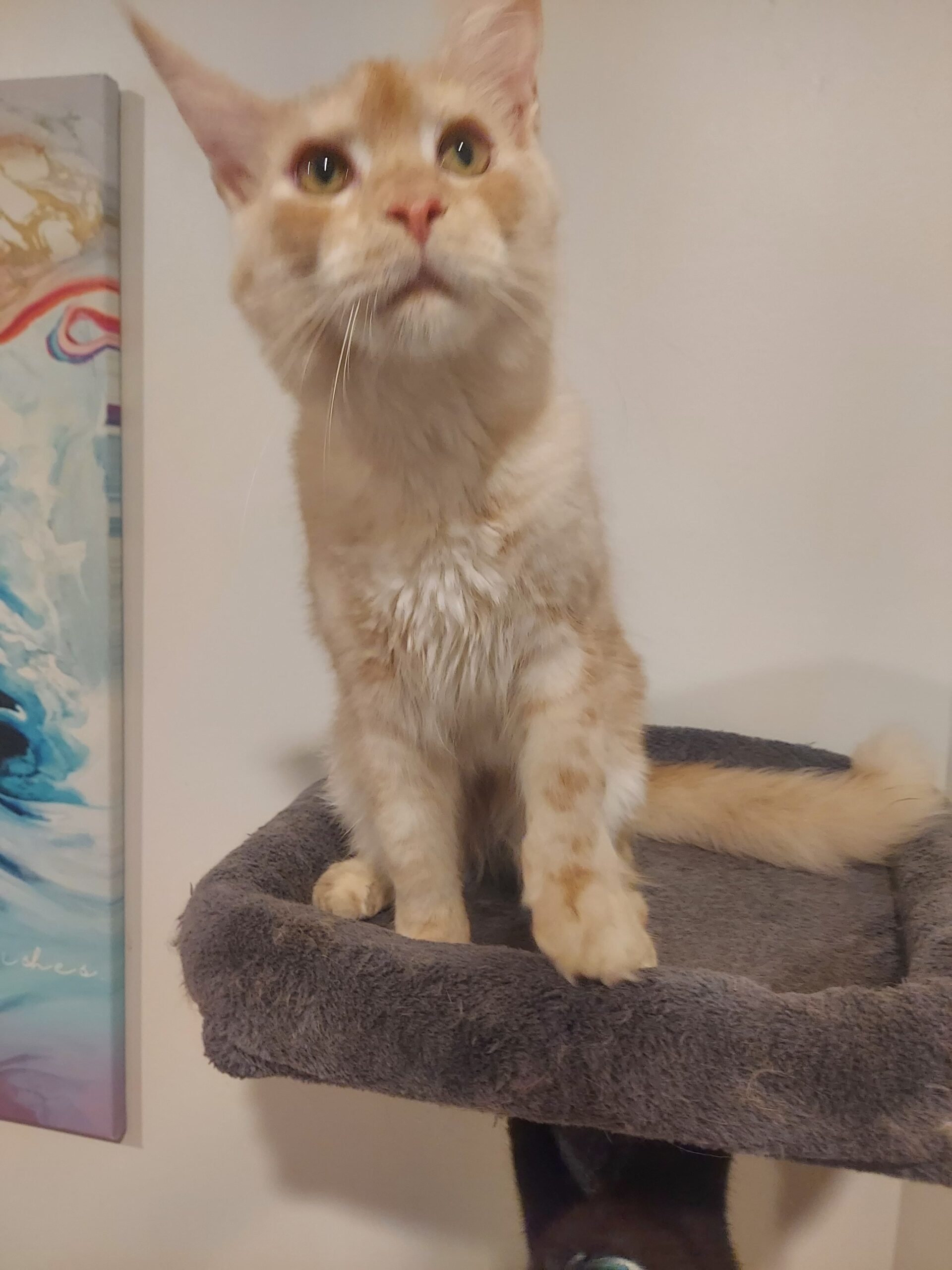 IMG 20250829 WA0014 scaled