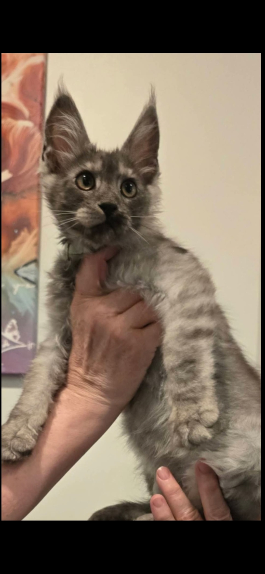 Screenshot 20250820 215632 Messages