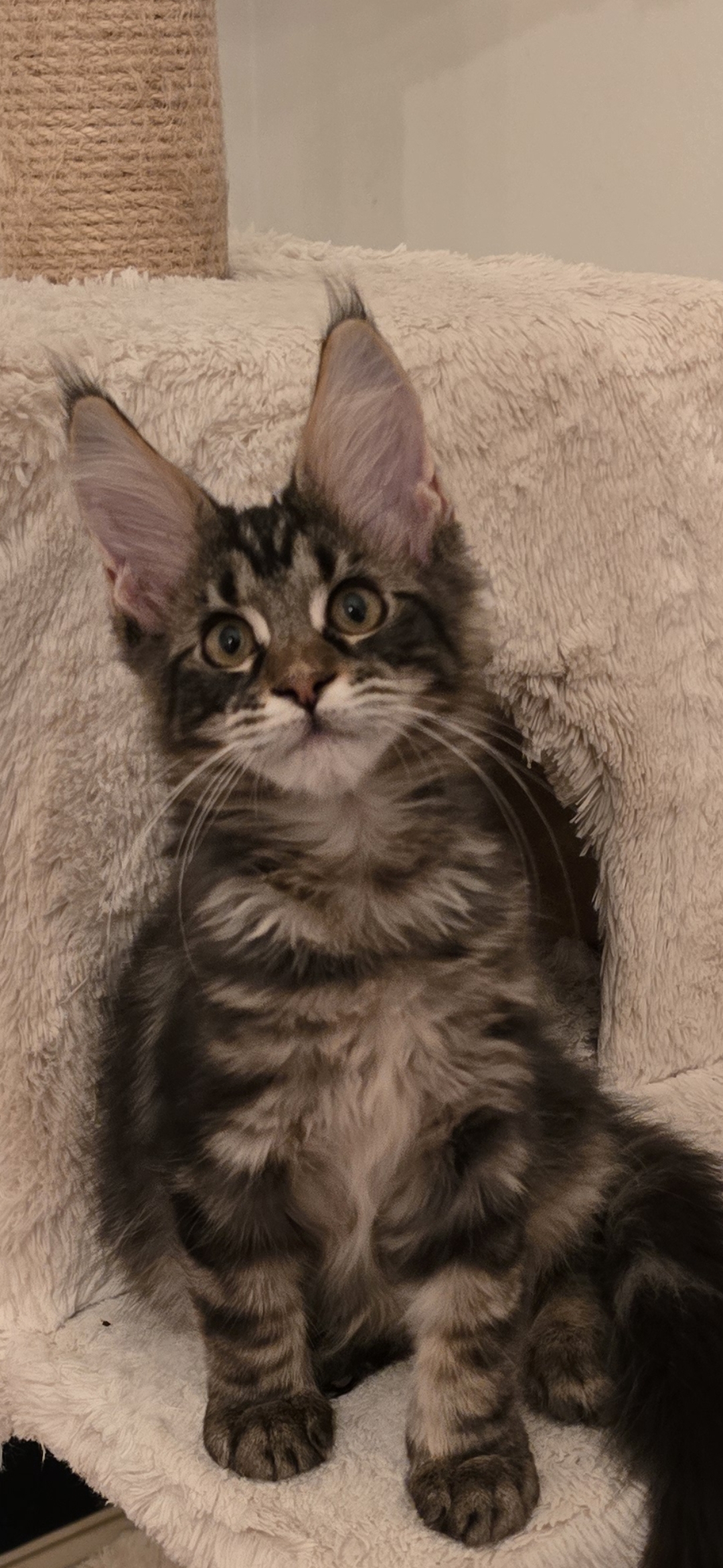 Screenshot 20250823 220740 Gallery