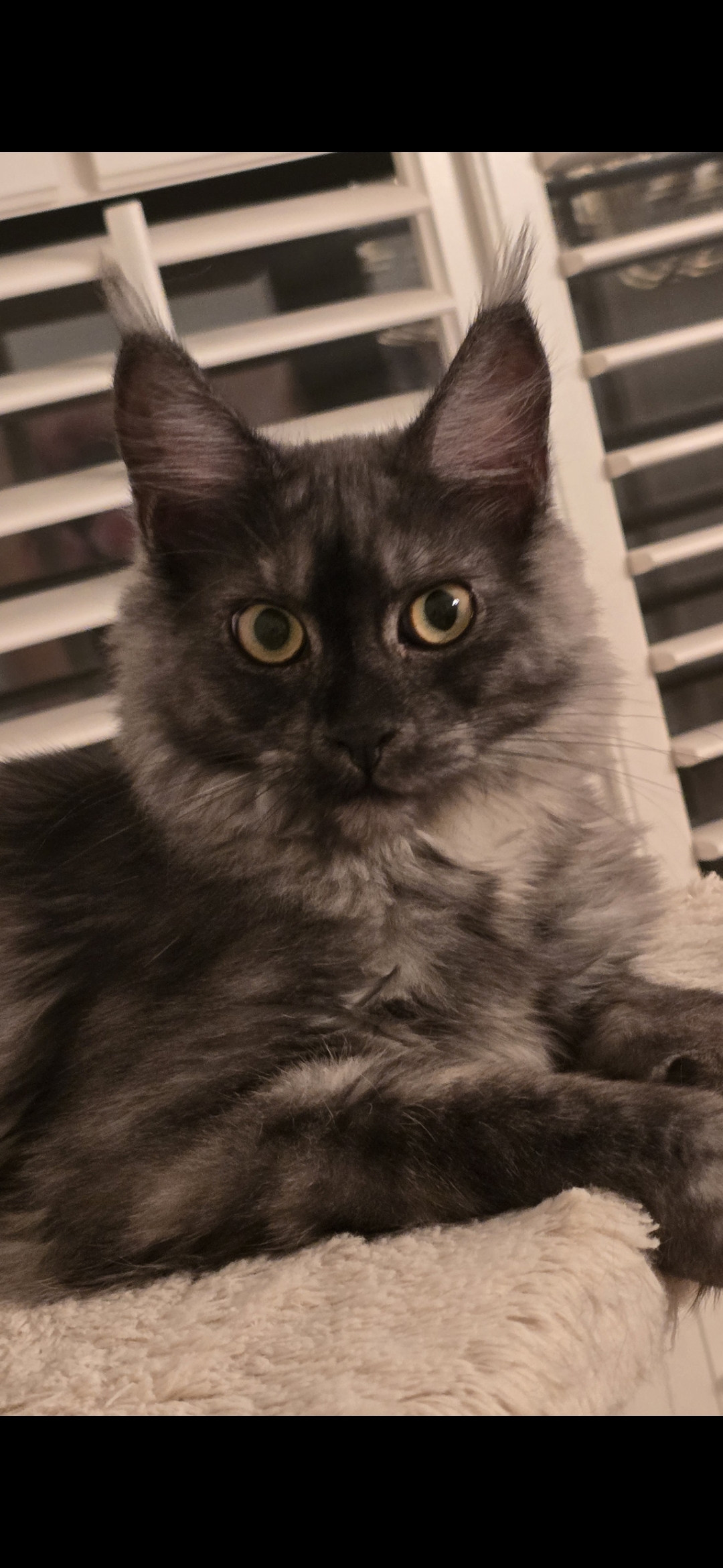 Screenshot 20250823 221511 Gallery