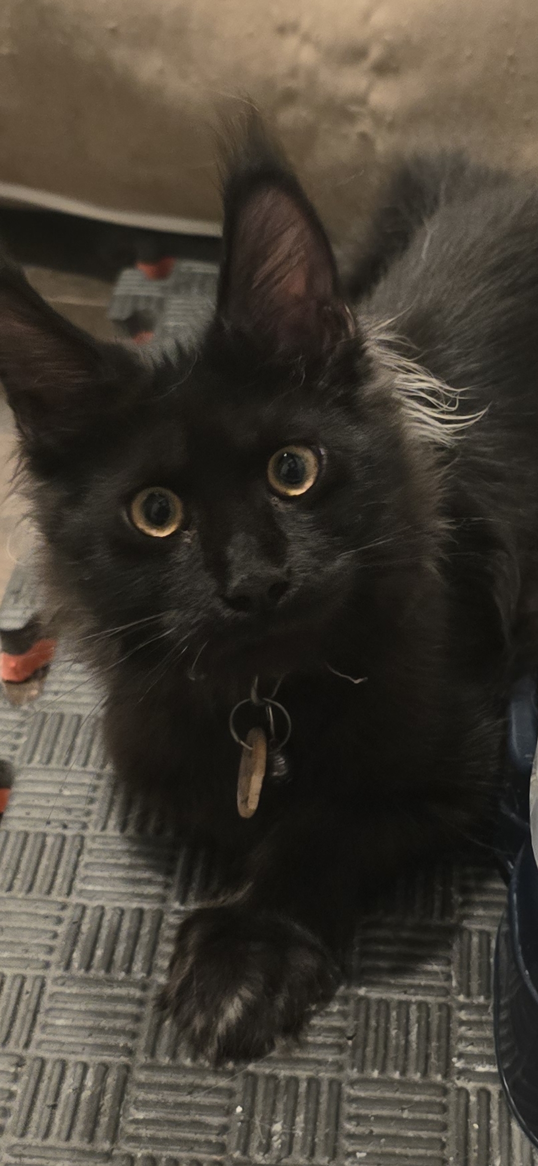 Screenshot 20250825 155427 Gallery