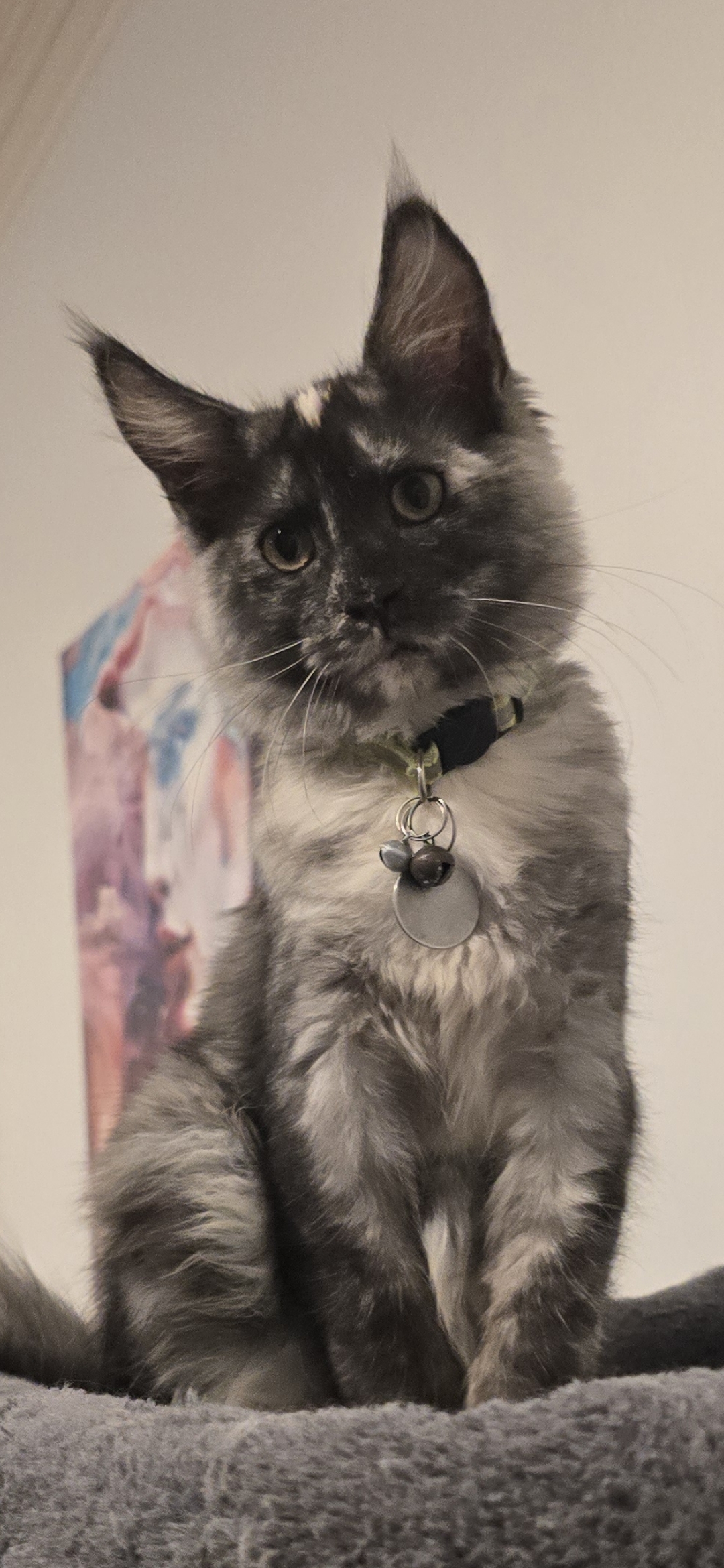 Screenshot 20250826 192852 Photos