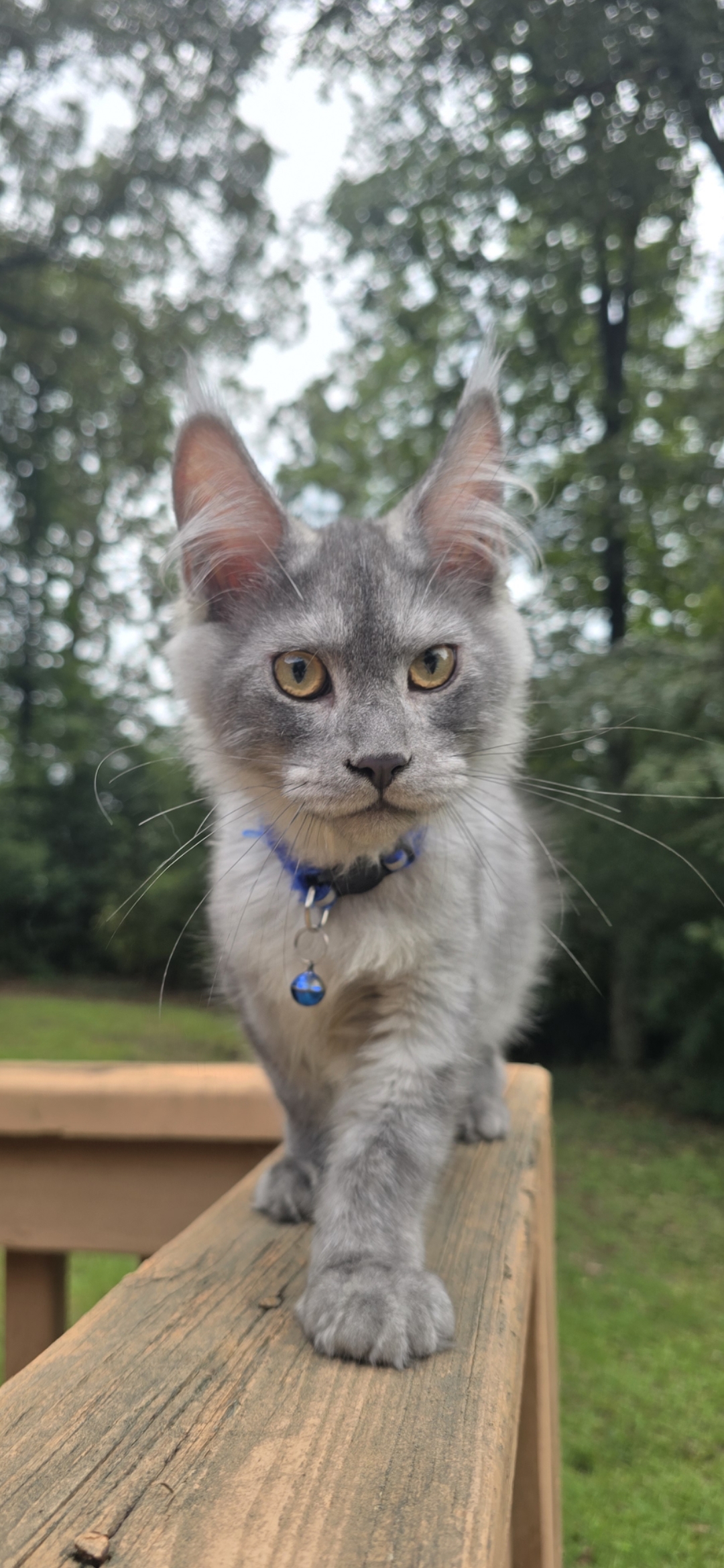 Screenshot 20250830 204252 Gallery